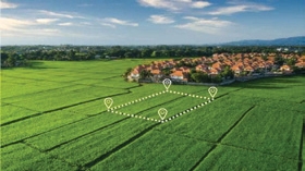 Landscape Views